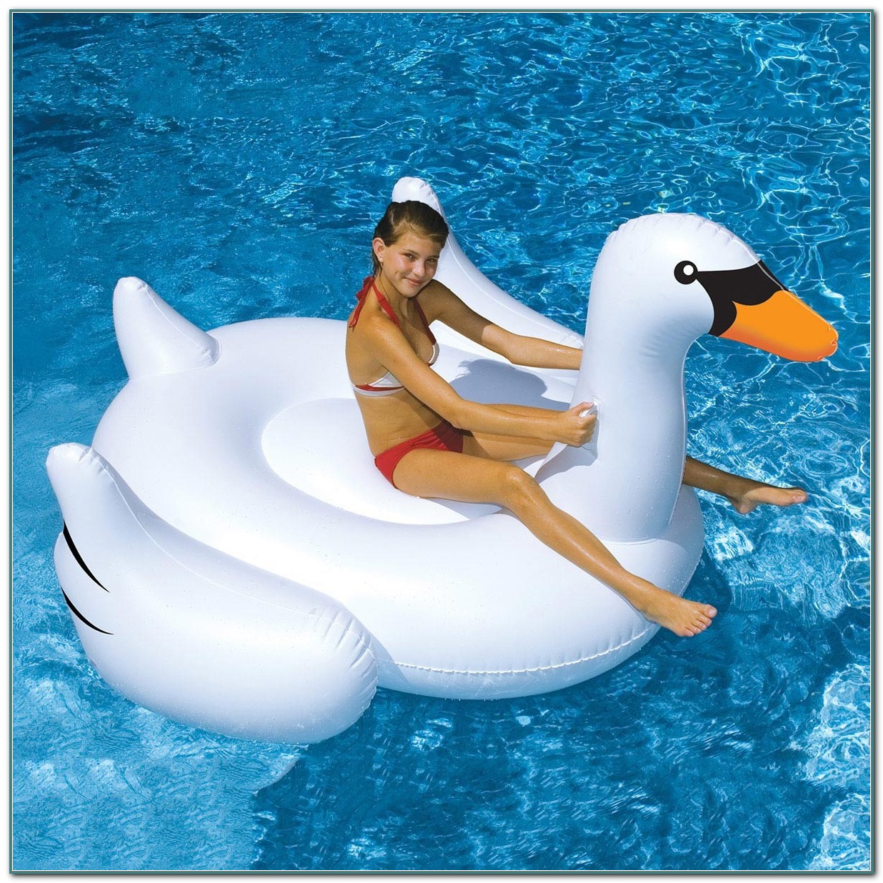 inflatable swan pool float