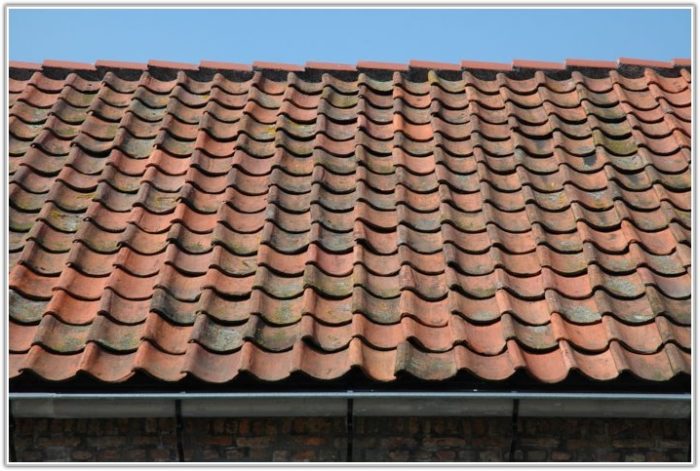 Metal Roofing That Looks Like Clay Tile - Design Talk